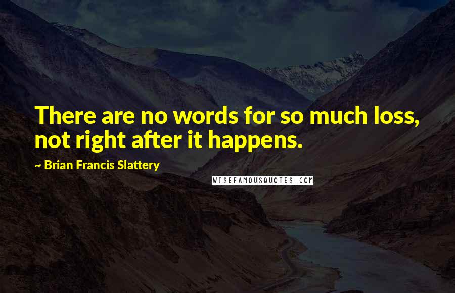 Brian Francis Slattery Quotes: There are no words for so much loss, not right after it happens.
