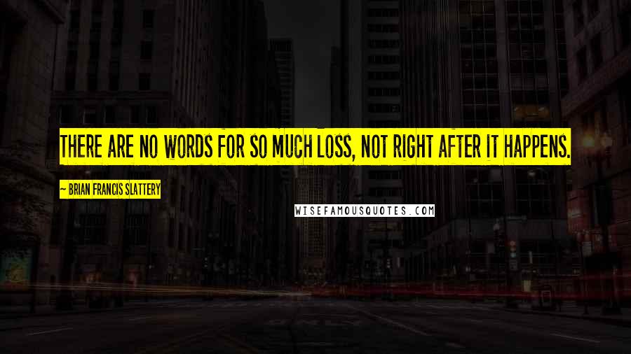 Brian Francis Slattery Quotes: There are no words for so much loss, not right after it happens.