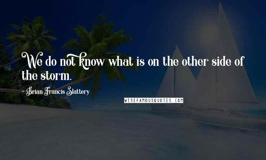 Brian Francis Slattery Quotes: We do not know what is on the other side of the storm.