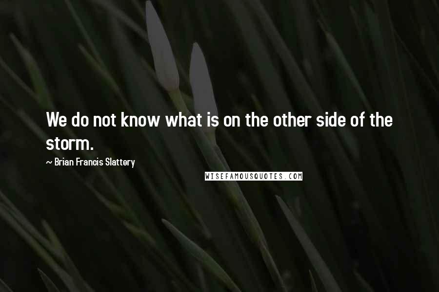 Brian Francis Slattery Quotes: We do not know what is on the other side of the storm.