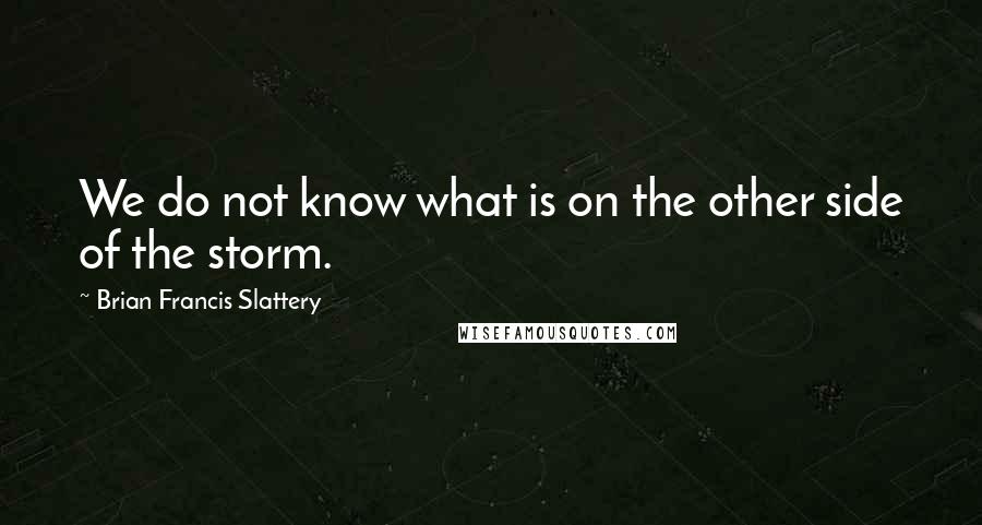 Brian Francis Slattery Quotes: We do not know what is on the other side of the storm.