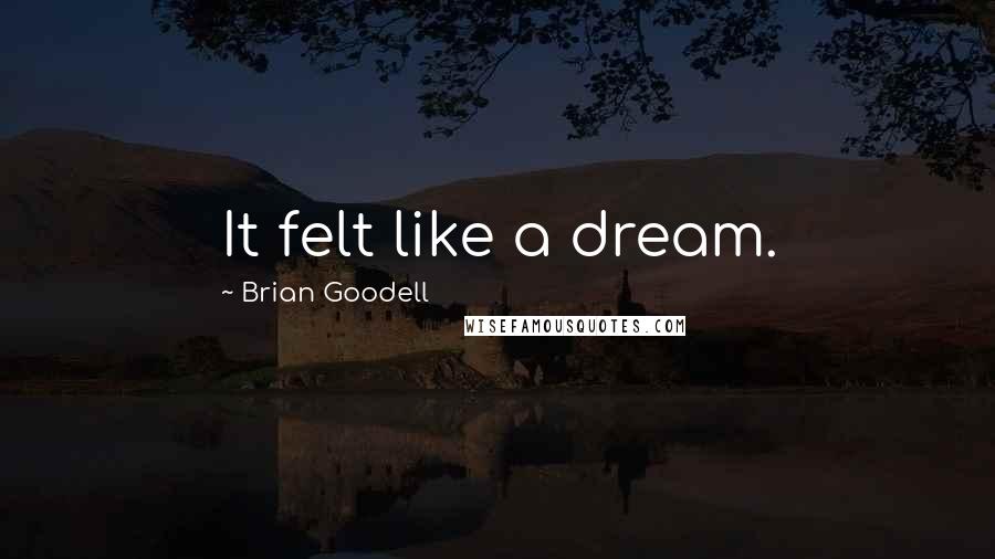Brian Goodell Quotes: It felt like a dream.