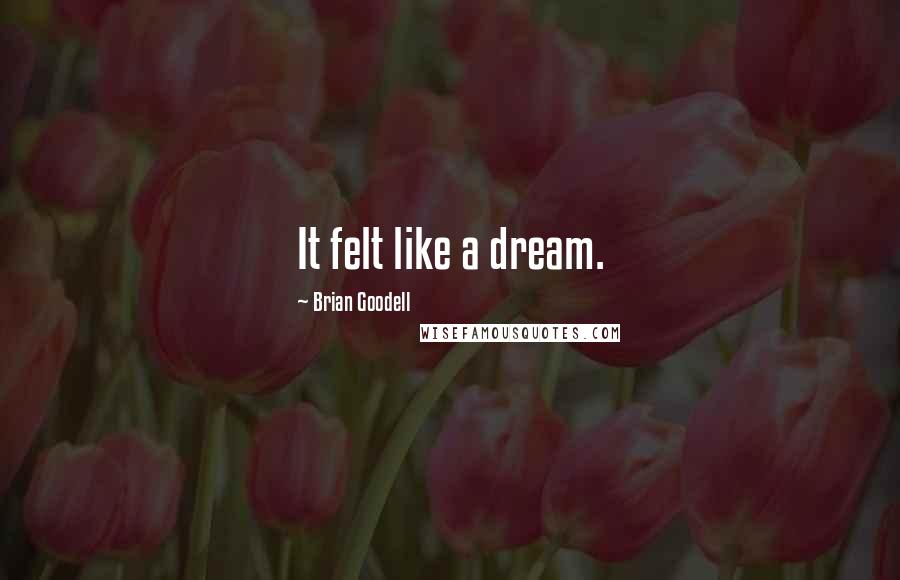 Brian Goodell Quotes: It felt like a dream.