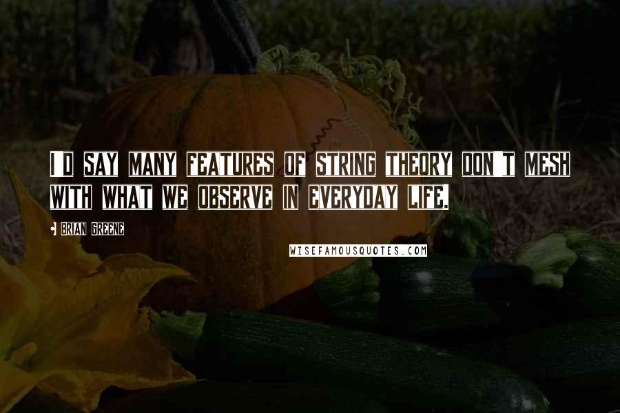 Brian Greene Quotes: I'd say many features of string theory don't mesh with what we observe in everyday life.