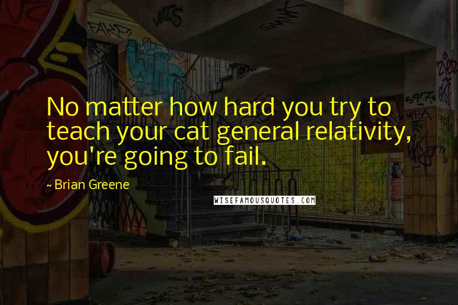 Brian Greene Quotes: No matter how hard you try to teach your cat general relativity, you're going to fail.