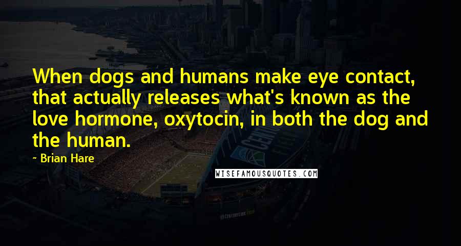 Brian Hare Quotes: When dogs and humans make eye contact, that actually releases what's known as the love hormone, oxytocin, in both the dog and the human.