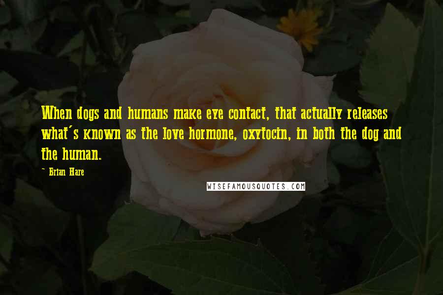 Brian Hare Quotes: When dogs and humans make eye contact, that actually releases what's known as the love hormone, oxytocin, in both the dog and the human.