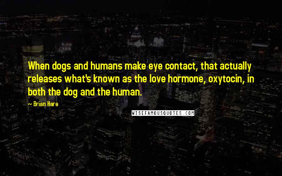 Brian Hare Quotes: When dogs and humans make eye contact, that actually releases what's known as the love hormone, oxytocin, in both the dog and the human.