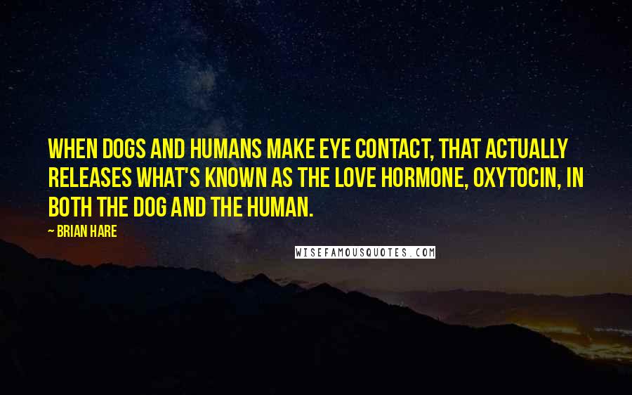 Brian Hare Quotes: When dogs and humans make eye contact, that actually releases what's known as the love hormone, oxytocin, in both the dog and the human.