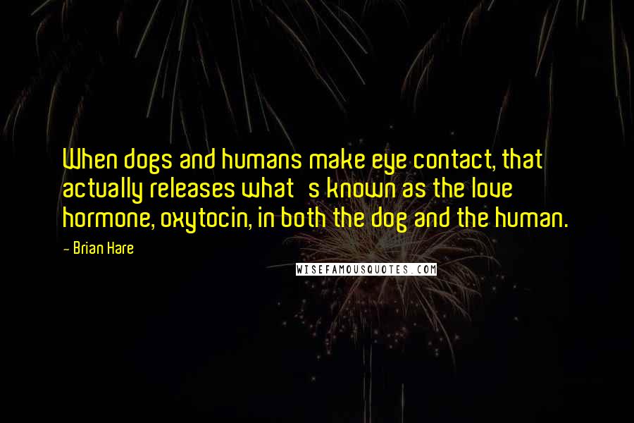 Brian Hare Quotes: When dogs and humans make eye contact, that actually releases what's known as the love hormone, oxytocin, in both the dog and the human.