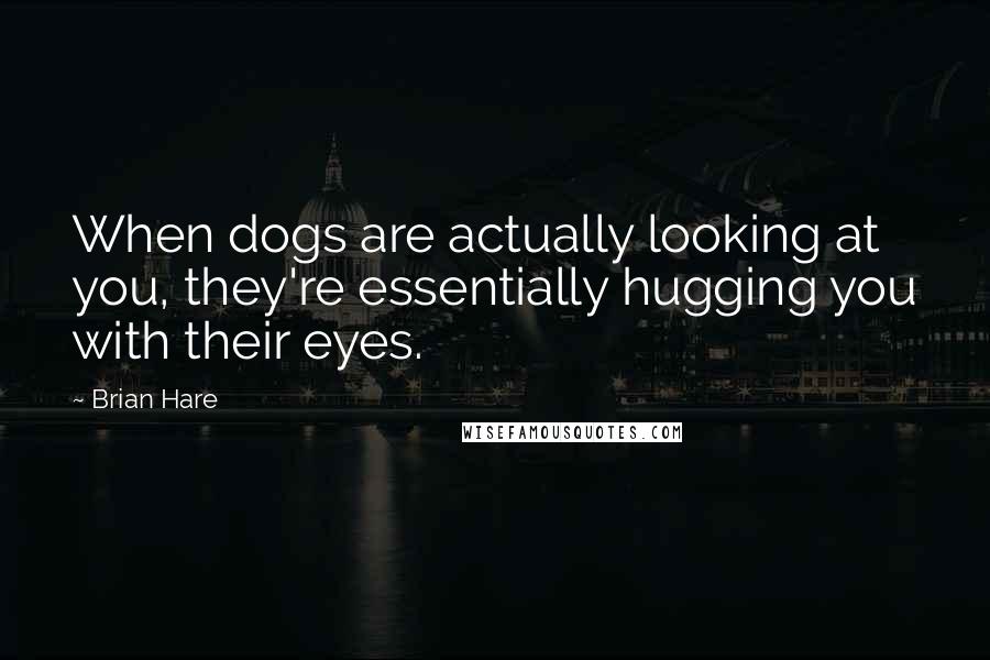 Brian Hare Quotes: When dogs are actually looking at you, they're essentially hugging you with their eyes.