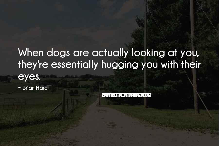 Brian Hare Quotes: When dogs are actually looking at you, they're essentially hugging you with their eyes.