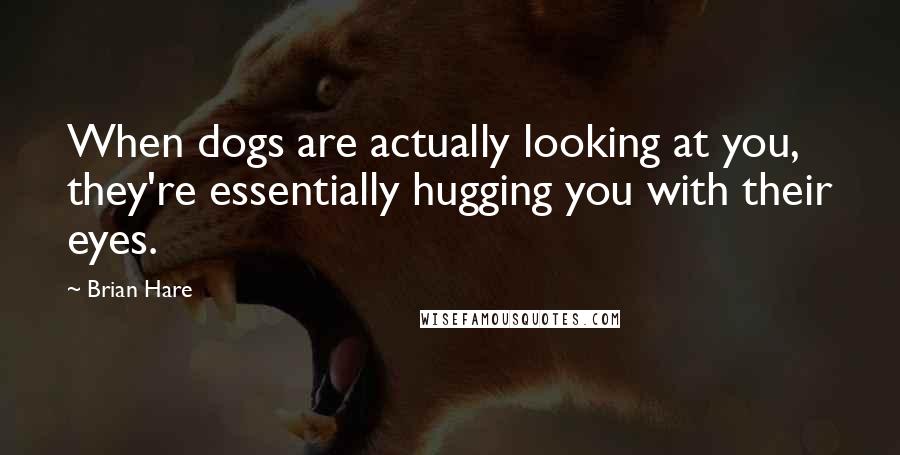 Brian Hare Quotes: When dogs are actually looking at you, they're essentially hugging you with their eyes.
