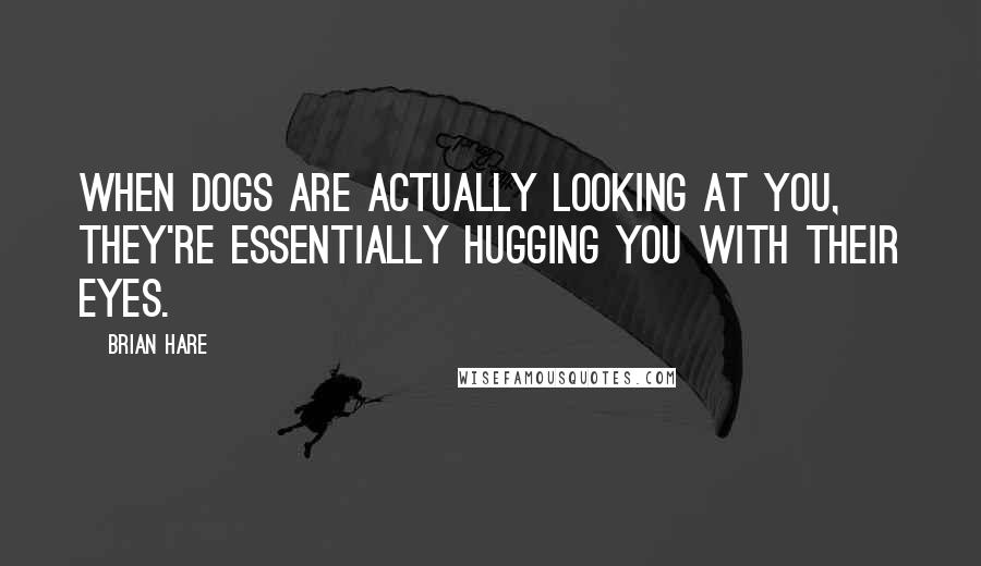 Brian Hare Quotes: When dogs are actually looking at you, they're essentially hugging you with their eyes.