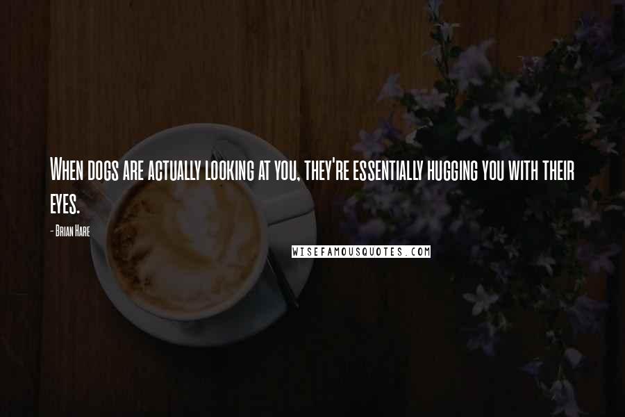 Brian Hare Quotes: When dogs are actually looking at you, they're essentially hugging you with their eyes.