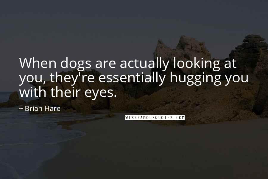 Brian Hare Quotes: When dogs are actually looking at you, they're essentially hugging you with their eyes.