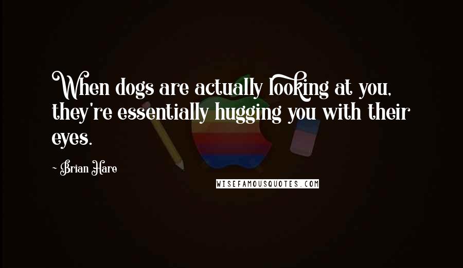 Brian Hare Quotes: When dogs are actually looking at you, they're essentially hugging you with their eyes.