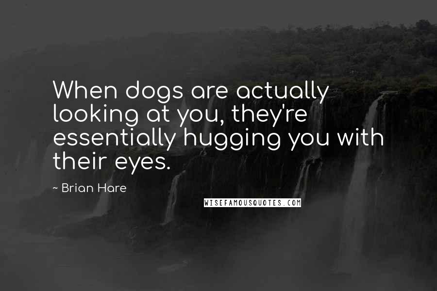 Brian Hare Quotes: When dogs are actually looking at you, they're essentially hugging you with their eyes.