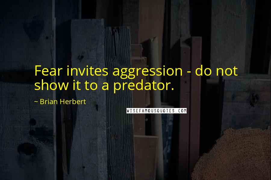 Brian Herbert Quotes: Fear invites aggression - do not show it to a predator.