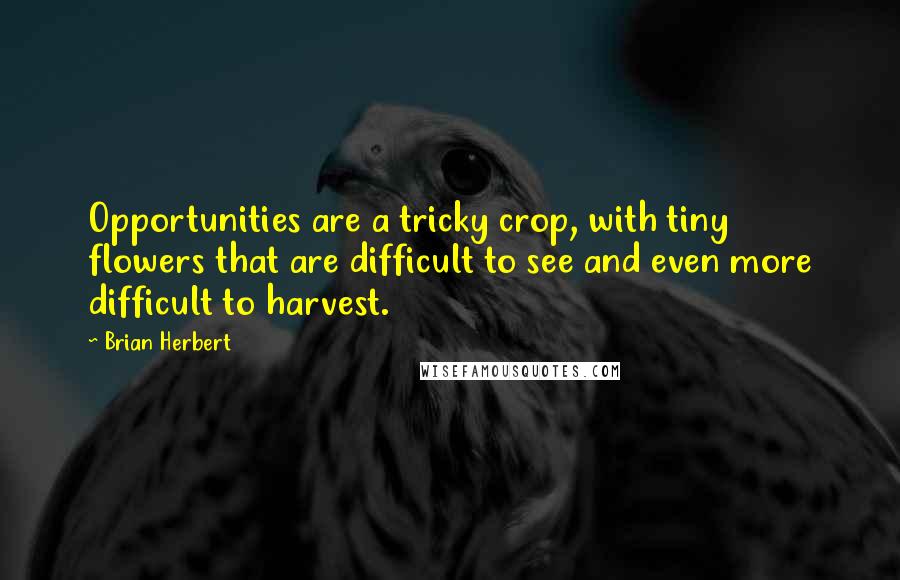 Brian Herbert Quotes: Opportunities are a tricky crop, with tiny flowers that are difficult to see and even more difficult to harvest.