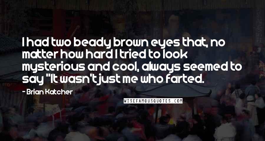 Brian Katcher Quotes: I had two beady brown eyes that, no matter how hard I tried to look mysterious and cool, always seemed to say "It wasn't just me who farted.