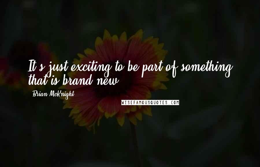 Brian McKnight Quotes: It's just exciting to be part of something that is brand-new.