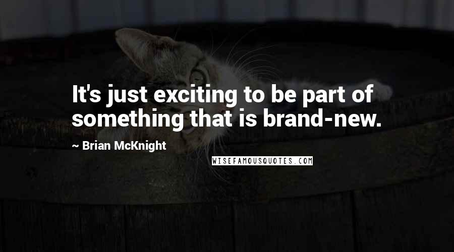 Brian McKnight Quotes: It's just exciting to be part of something that is brand-new.