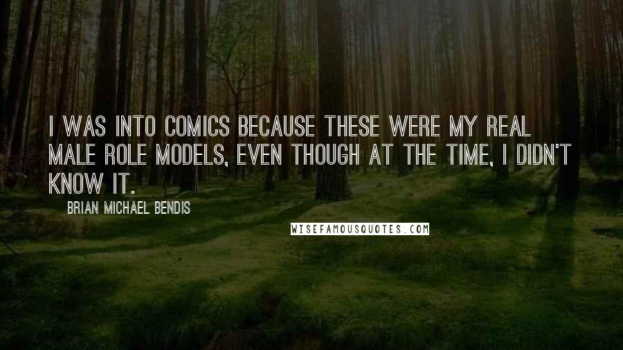 Brian Michael Bendis Quotes: I was into comics because these were my real male role models, even though at the time, I didn't know it.