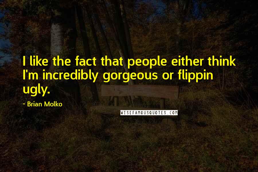 Brian Molko Quotes: I like the fact that people either think I'm incredibly gorgeous or flippin ugly.