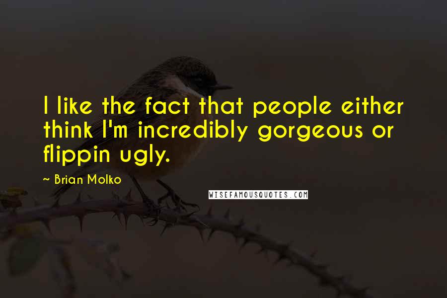 Brian Molko Quotes: I like the fact that people either think I'm incredibly gorgeous or flippin ugly.