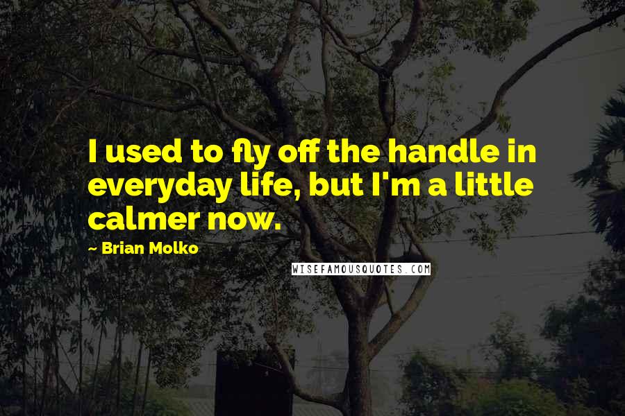 Brian Molko Quotes: I used to fly off the handle in everyday life, but I'm a little calmer now.