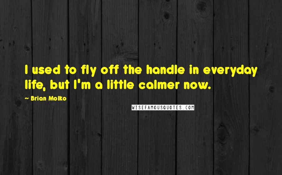 Brian Molko Quotes: I used to fly off the handle in everyday life, but I'm a little calmer now.