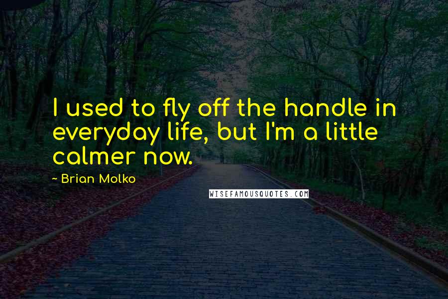 Brian Molko Quotes: I used to fly off the handle in everyday life, but I'm a little calmer now.