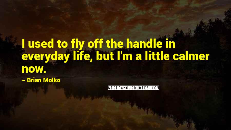 Brian Molko Quotes: I used to fly off the handle in everyday life, but I'm a little calmer now.