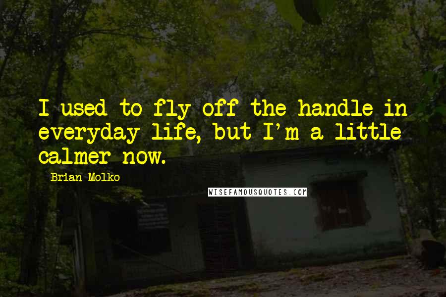 Brian Molko Quotes: I used to fly off the handle in everyday life, but I'm a little calmer now.