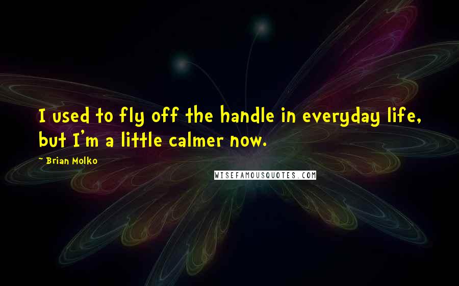 Brian Molko Quotes: I used to fly off the handle in everyday life, but I'm a little calmer now.