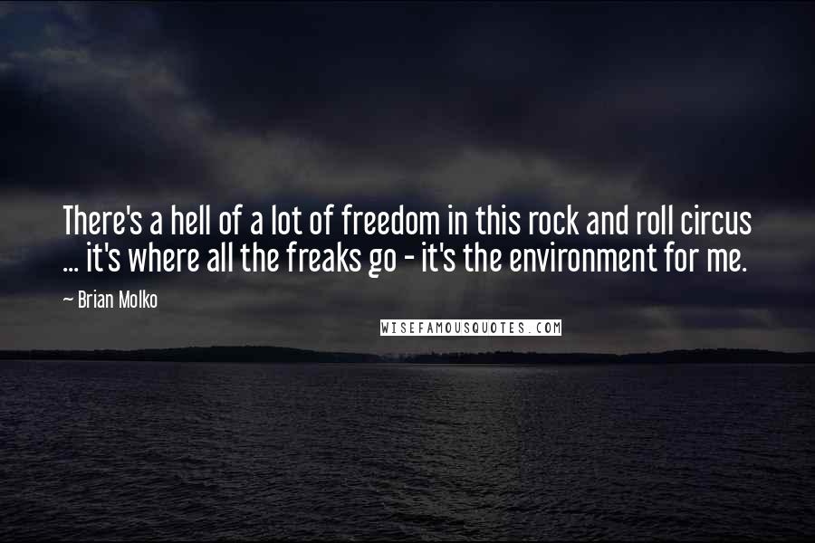 Brian Molko Quotes: There's a hell of a lot of freedom in this rock and roll circus ... it's where all the freaks go - it's the environment for me.