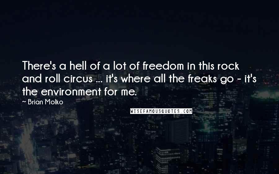 Brian Molko Quotes: There's a hell of a lot of freedom in this rock and roll circus ... it's where all the freaks go - it's the environment for me.