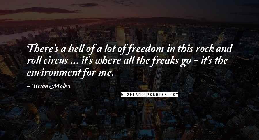 Brian Molko Quotes: There's a hell of a lot of freedom in this rock and roll circus ... it's where all the freaks go - it's the environment for me.