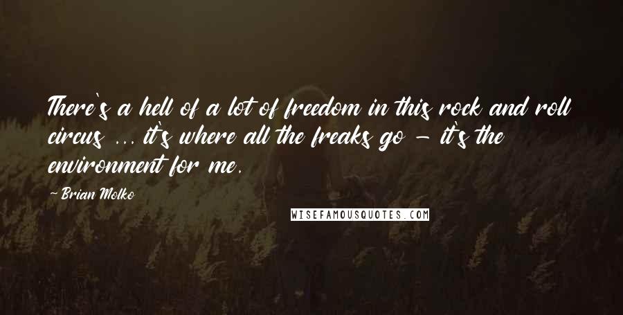 Brian Molko Quotes: There's a hell of a lot of freedom in this rock and roll circus ... it's where all the freaks go - it's the environment for me.