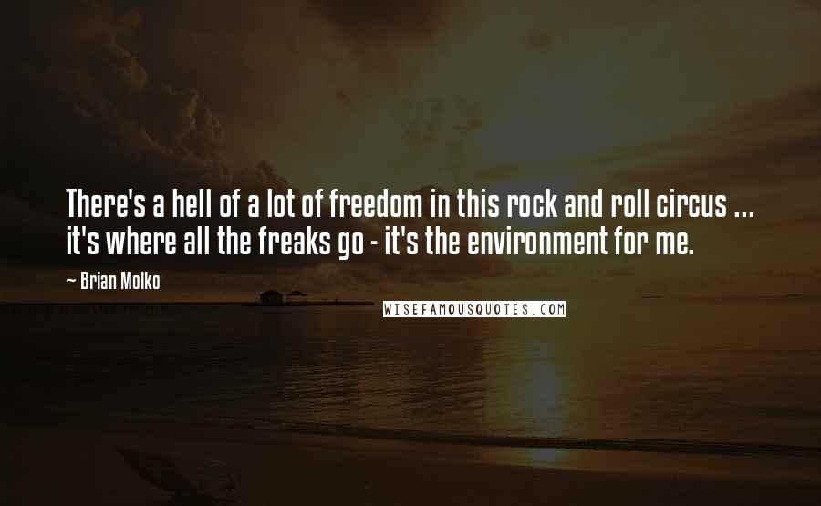 Brian Molko Quotes: There's a hell of a lot of freedom in this rock and roll circus ... it's where all the freaks go - it's the environment for me.