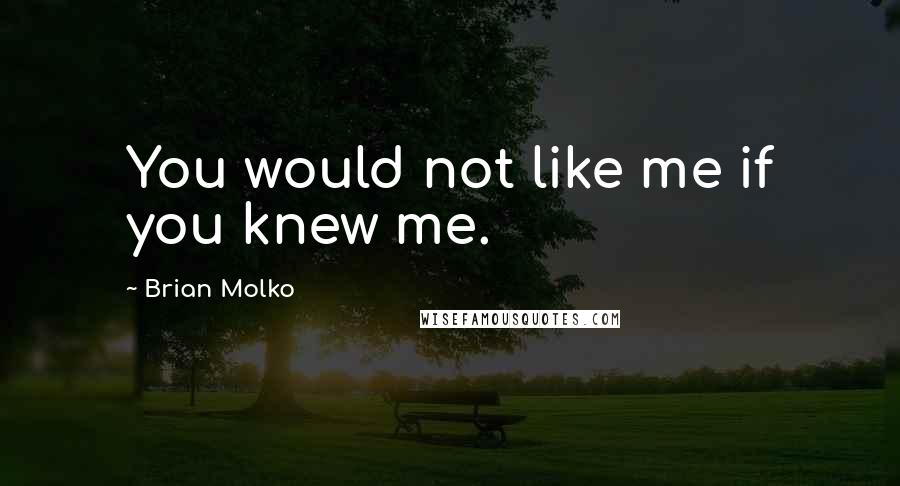 Brian Molko Quotes: You would not like me if you knew me.