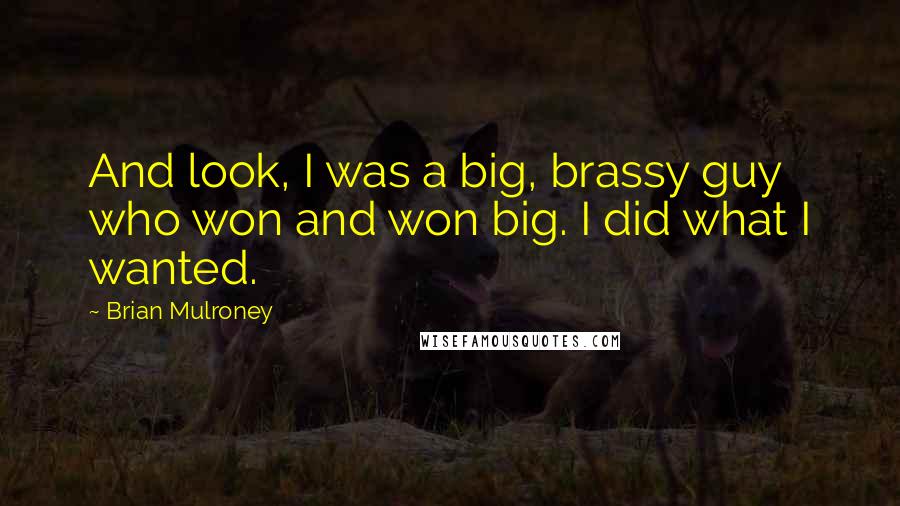Brian Mulroney Quotes: And look, I was a big, brassy guy who won and won big. I did what I wanted.