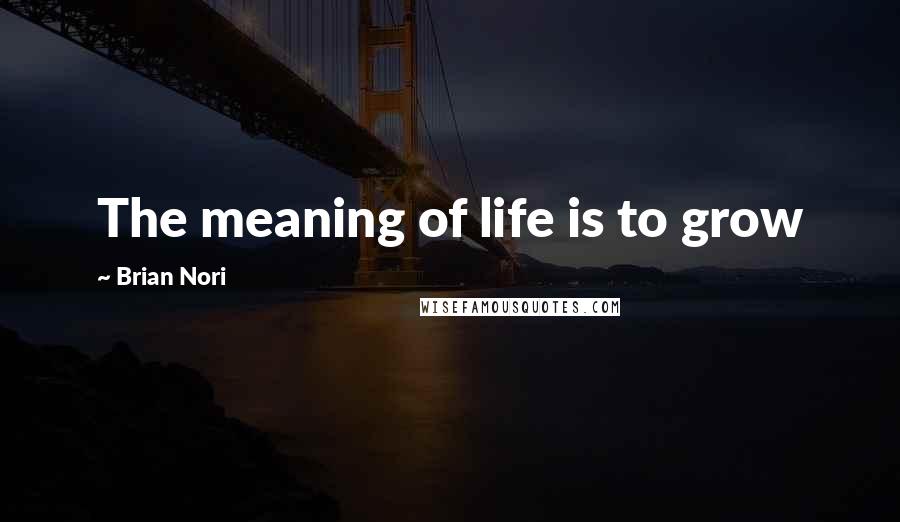 Brian Nori Quotes: The meaning of life is to grow