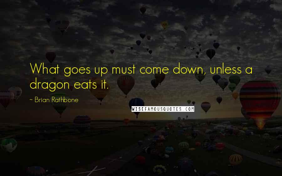 Brian Rathbone Quotes: What goes up must come down, unless a dragon eats it.