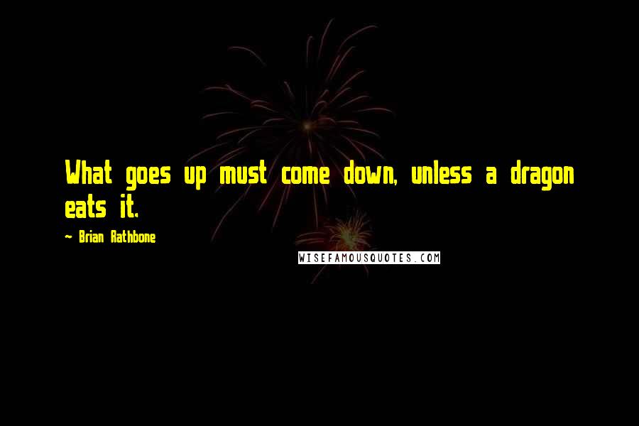 Brian Rathbone Quotes: What goes up must come down, unless a dragon eats it.