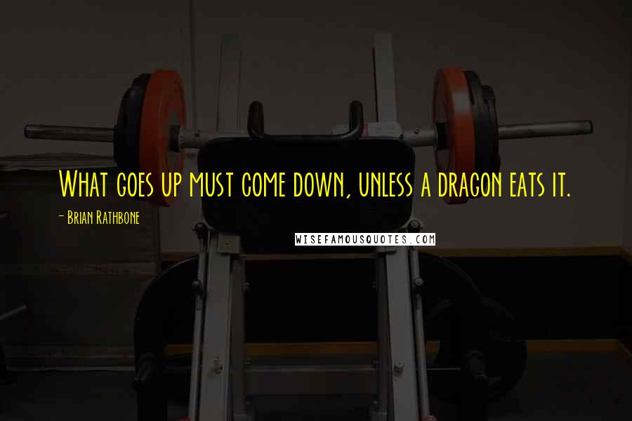 Brian Rathbone Quotes: What goes up must come down, unless a dragon eats it.
