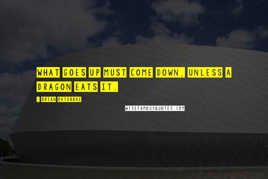 Brian Rathbone Quotes: What goes up must come down, unless a dragon eats it.