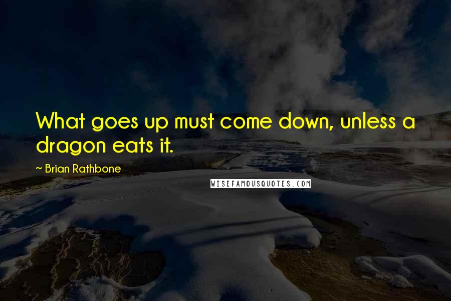 Brian Rathbone Quotes: What goes up must come down, unless a dragon eats it.