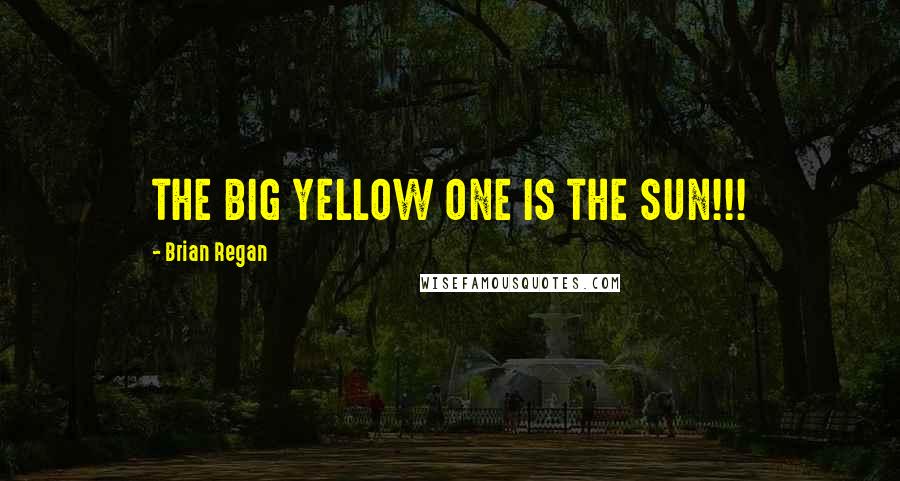 Brian Regan Quotes: THE BIG YELLOW ONE IS THE SUN!!!